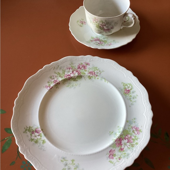 Antique Johnson Bros, England, 9” luncheon plate, cup & saucer, pattern JB929. - Picture 2 of 15